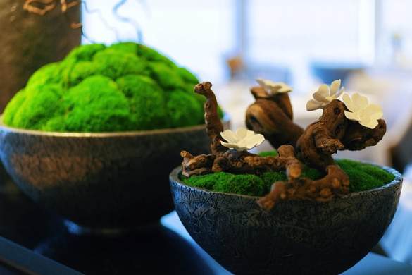 Azamara Cruises Aqualina Dining ©Jenna Lyn, Azamara Cruises2.jpg